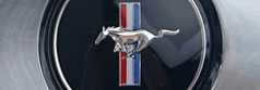 Early Ford badge