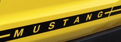Ford Mustang V6 badge